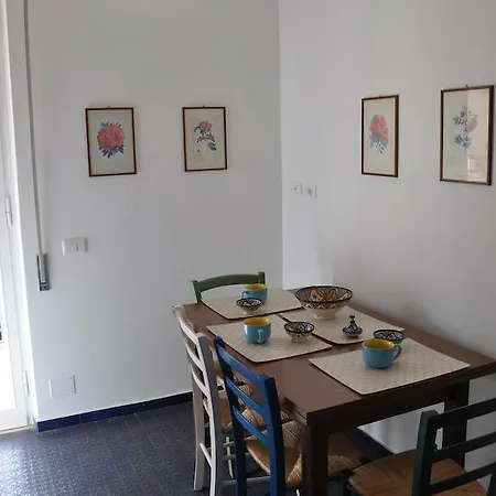 Olivia Apartment